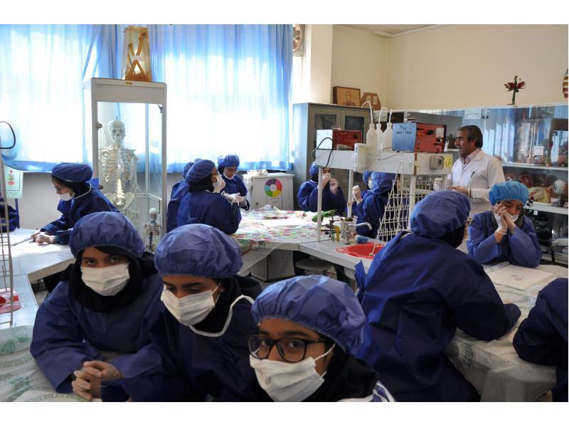 کارسوق زیست شناسی بهمن 95