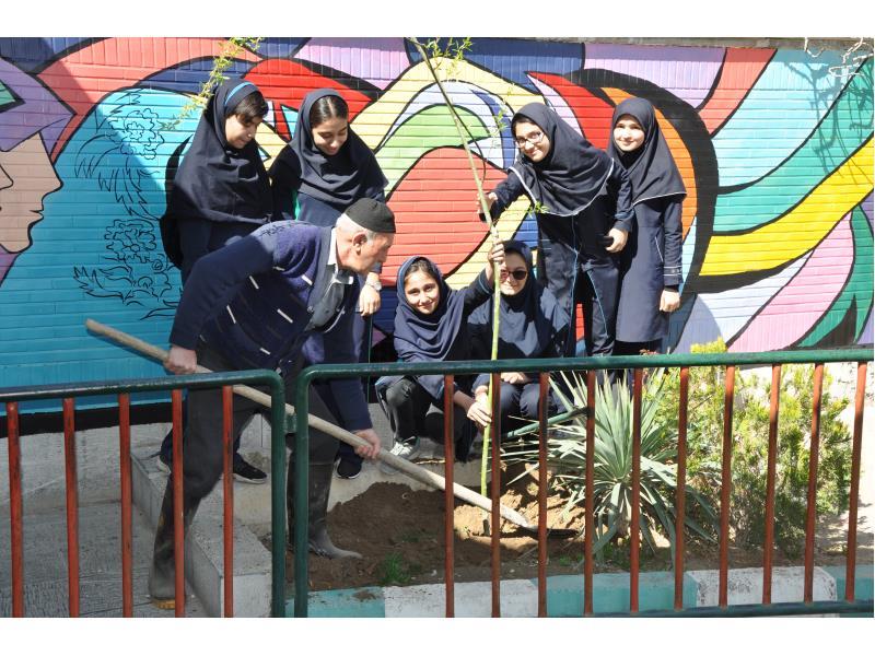 هفته درختکاری و اموزش کاشت گلهای تراریوم   