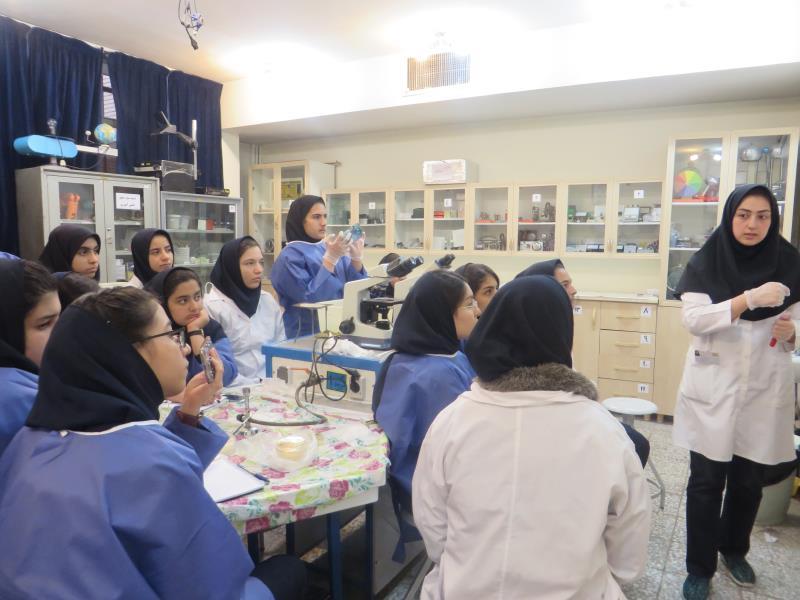 کارسوق بیوتکنولوژی