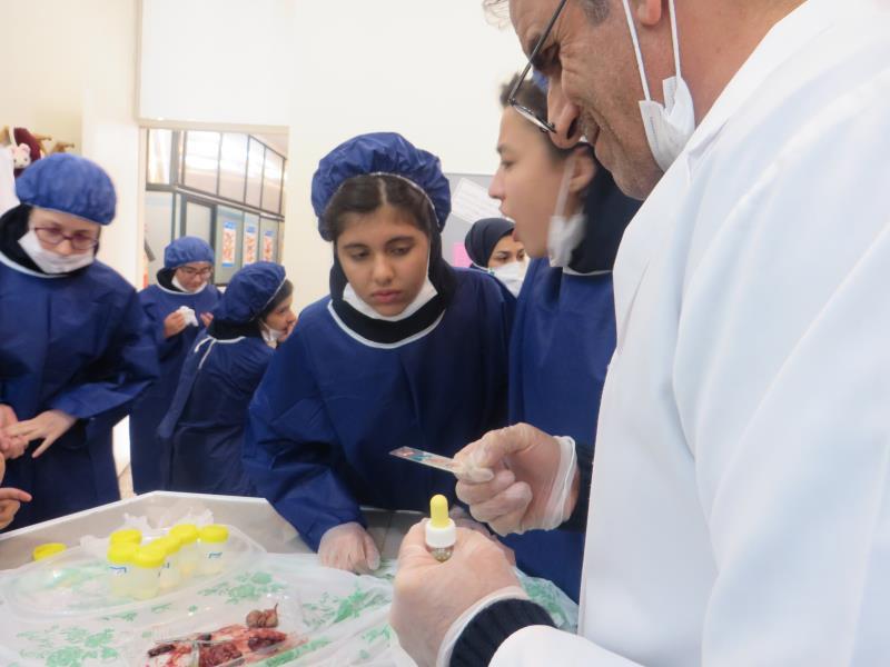 کارسوق زیست شناسی(تشریح) هفتم