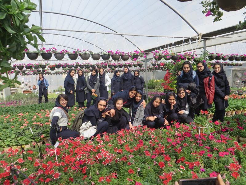 بازدید از گلخانه ناردین(آشنایی با مشاغل)