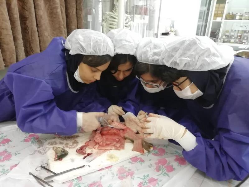 کارسوق تشریح پایه نهم