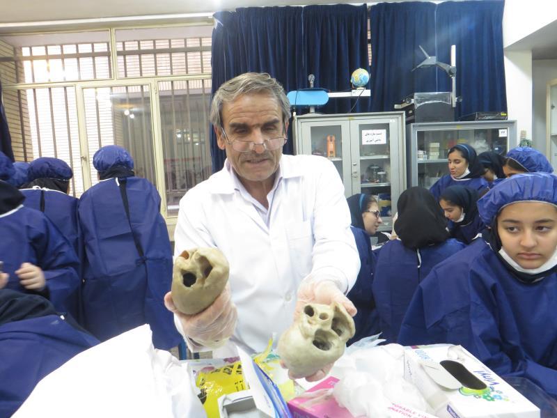 کارسوق زیست شناسی هشتم (تشریح)