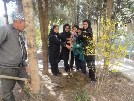 روز درختکاری