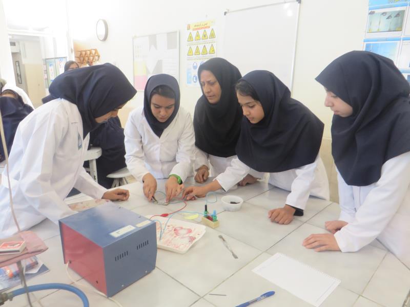 کارسوق ژنتیک