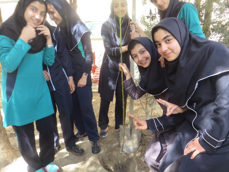 روز درختکاری